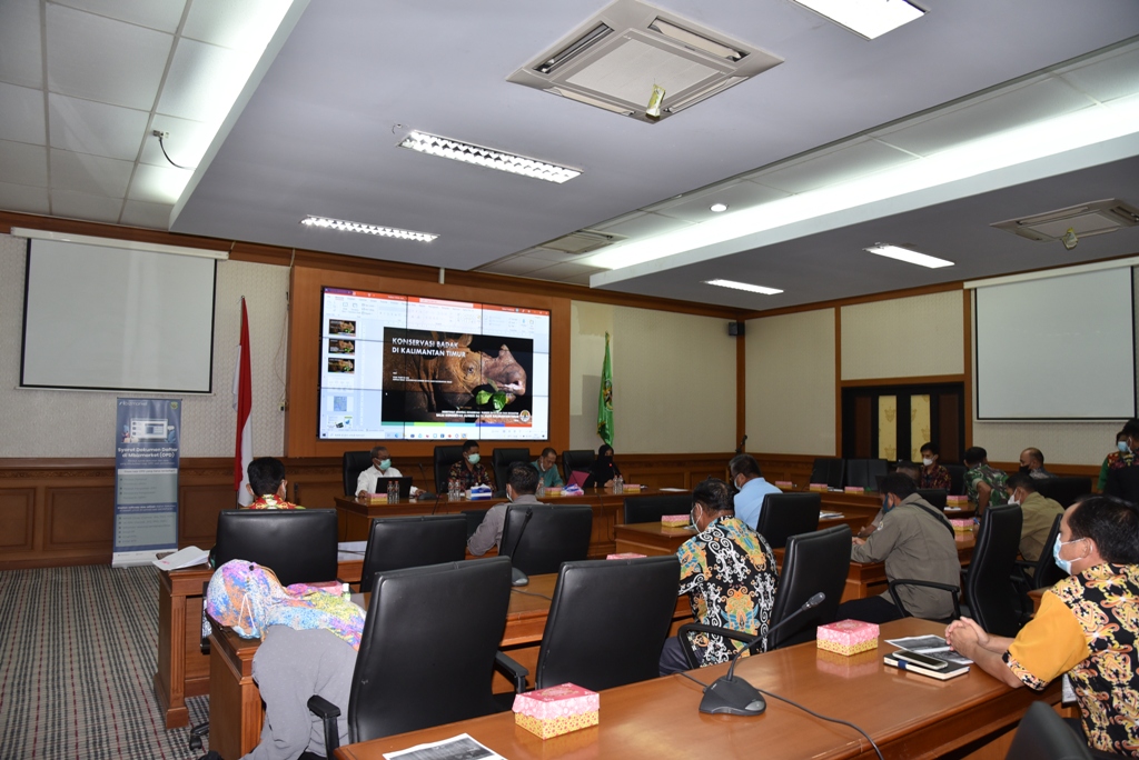 Lindungi Keberadaan Badak Pahu Di Wilayah Hutan Lindung Kelian Lestari